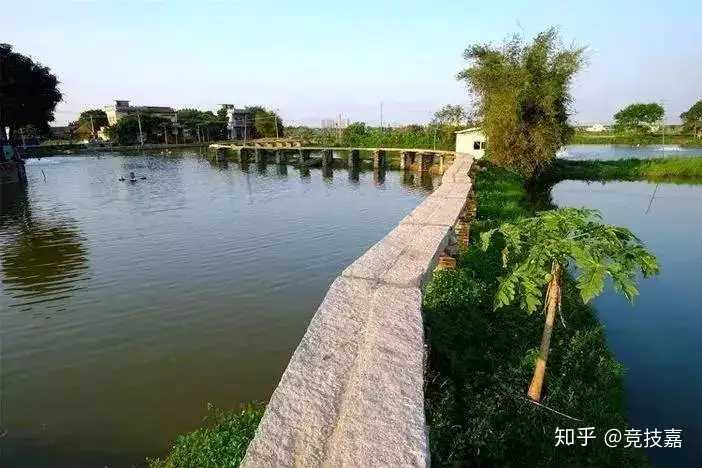 「鹤山古劳水乡&顺德逢简水乡」岭南水乡风情，千亩婀娜荷花