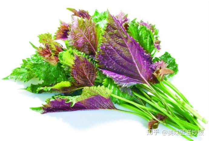 映衬这个夏日的广式紫苏海鲜炒饭 匠滋总能给你不一样的惊喜 知乎