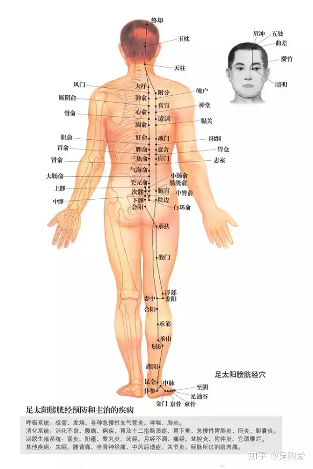 足购爱：男性人体穴位图十四经穴高清图解- 知乎