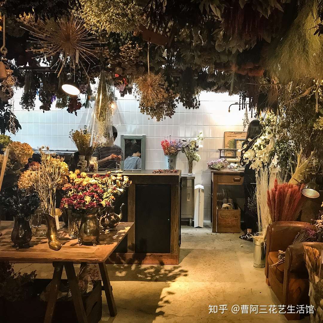 清寂古树碧针遮 弯朽苍苍发嫩芽 栉比年轮鳞角卷 凝光承露蓄精华 知乎