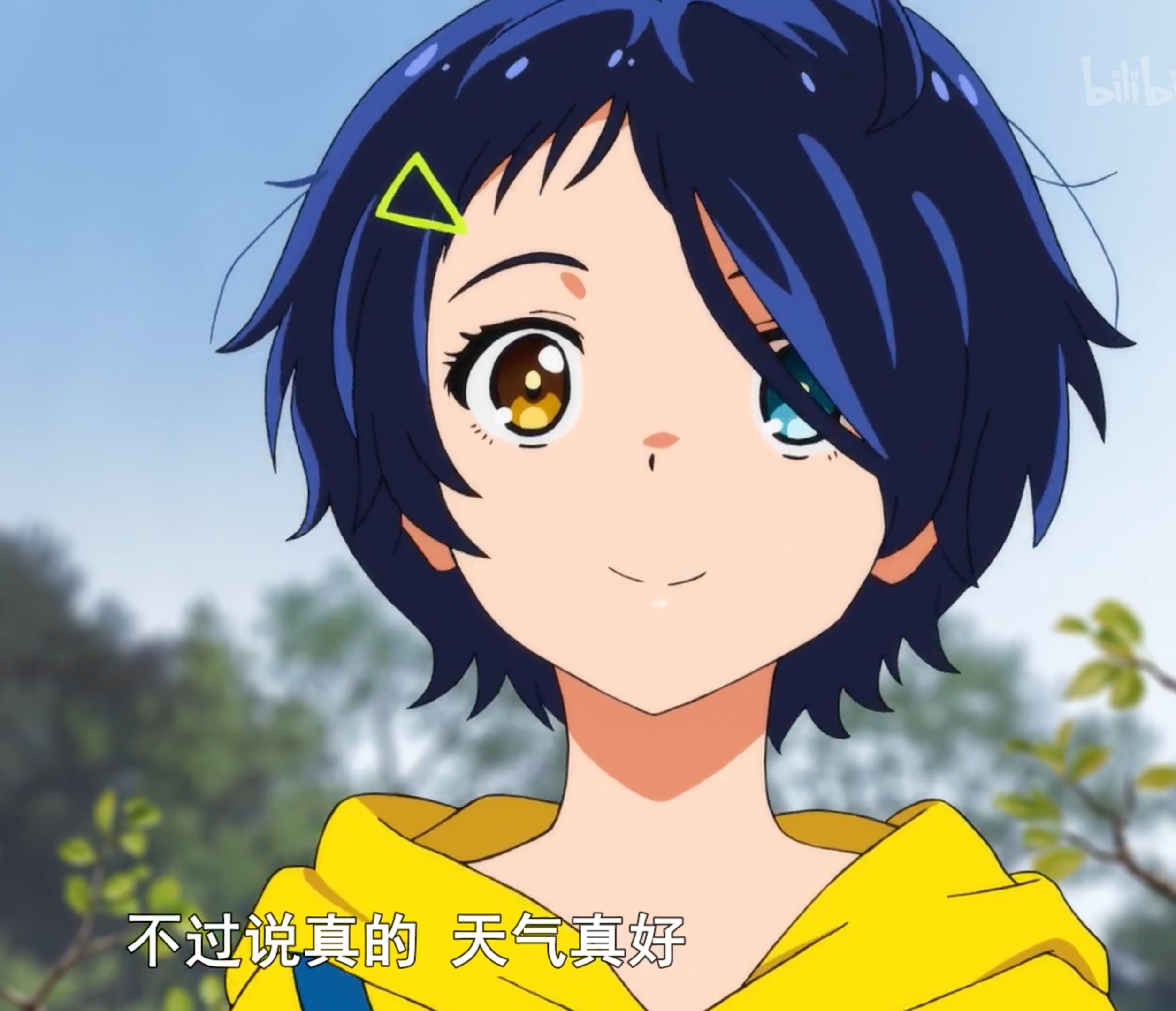 王之葵托利 的想法: 帮转 - 知乎