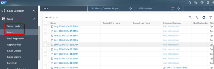 怎么在SAP Cloud for Customer页面嵌入自定义UI