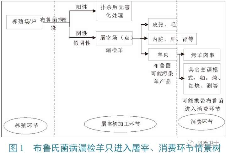 牛羊布病用什么药效果最好_牛羊布病的症状_牛羊布病的症状及治疗方法