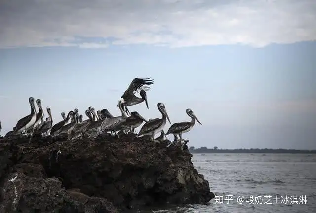 厄瓜多尔对中国免签，获得厄瓜多尔护照只需要三个月