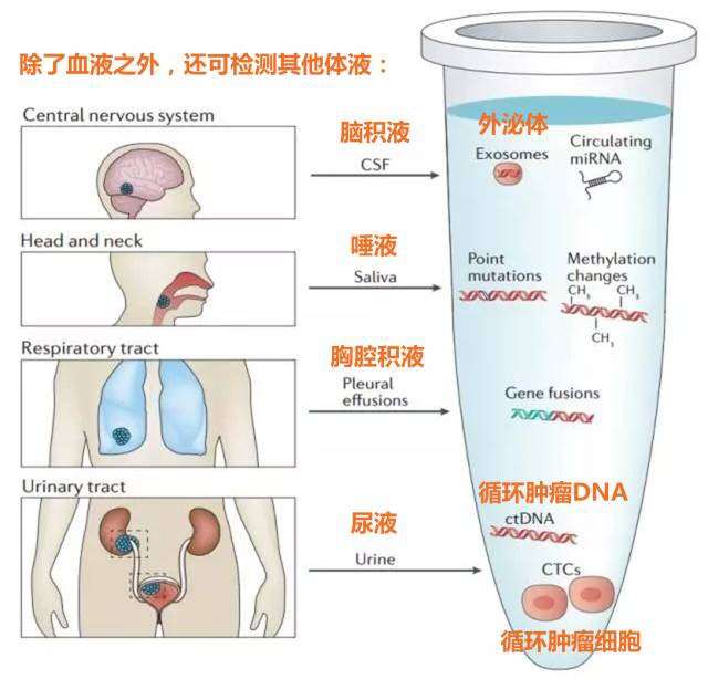 知乎