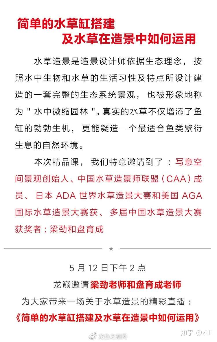 花团锦簇的荷兰缸 太养眼啦 更有梁劲 盘育成强强联手造景直播首秀 知乎