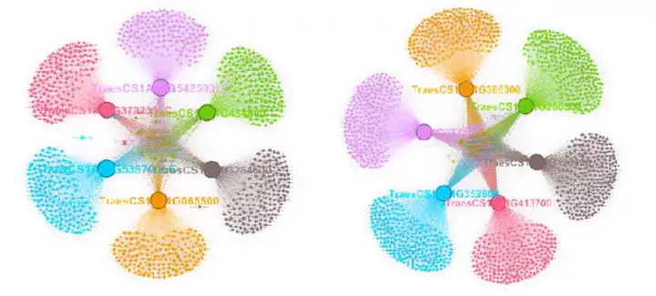 生物信息工具这种好看的朱缨花网络图怎么用gephi绘制