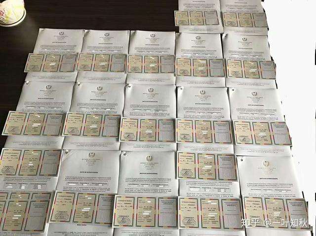 非洲绿卡也有含金量？