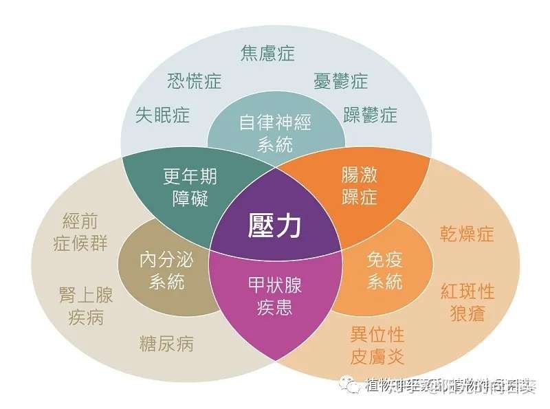 什么手机自律神经 知乎