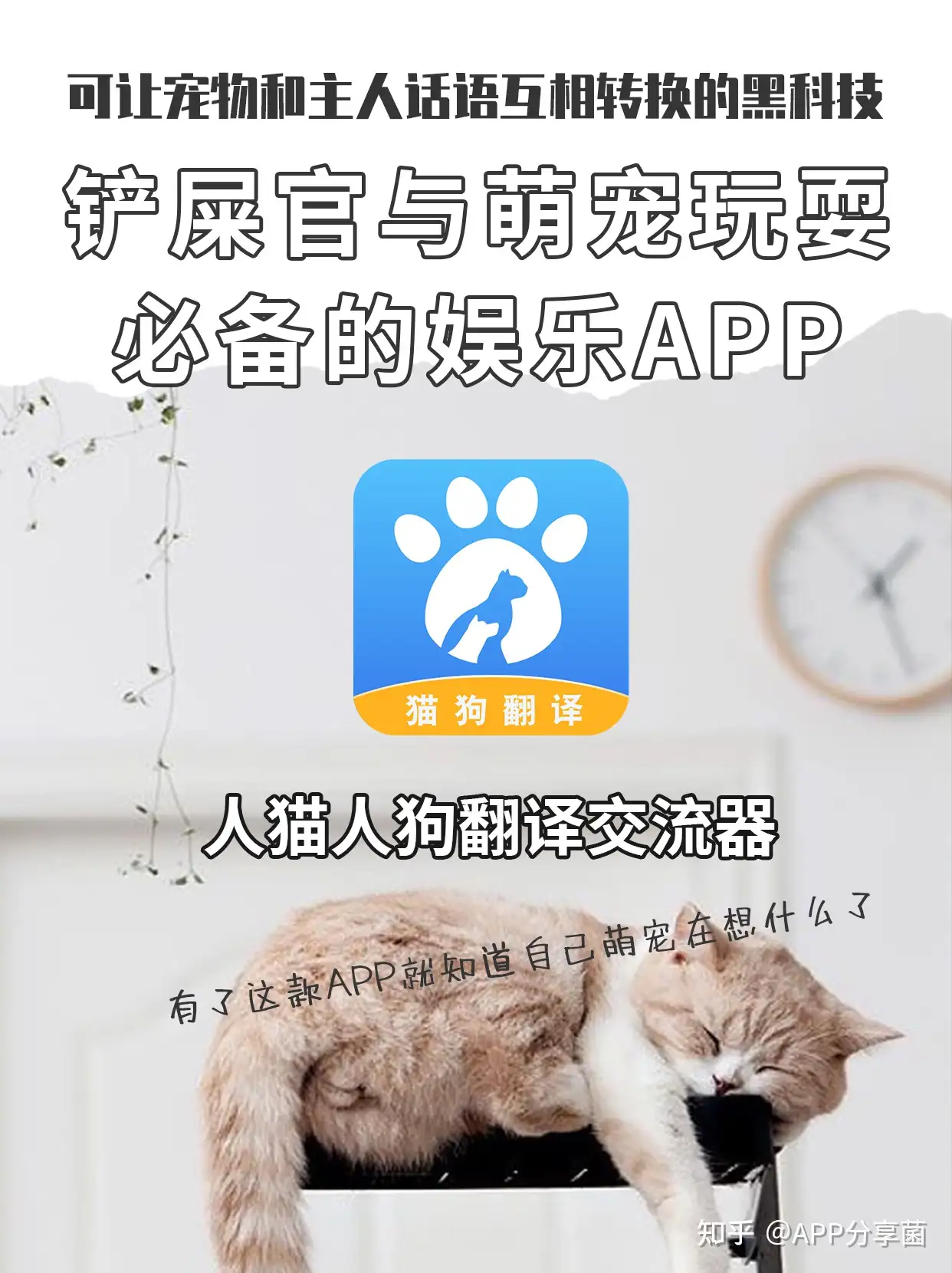 人类与宠物的对话 人猫人狗翻译交流器可满足 知乎