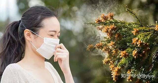 雪上加霜 新型肺炎遇上国民病花粉症 日本人买不到口罩 现在全世界最担心的是日本 知乎