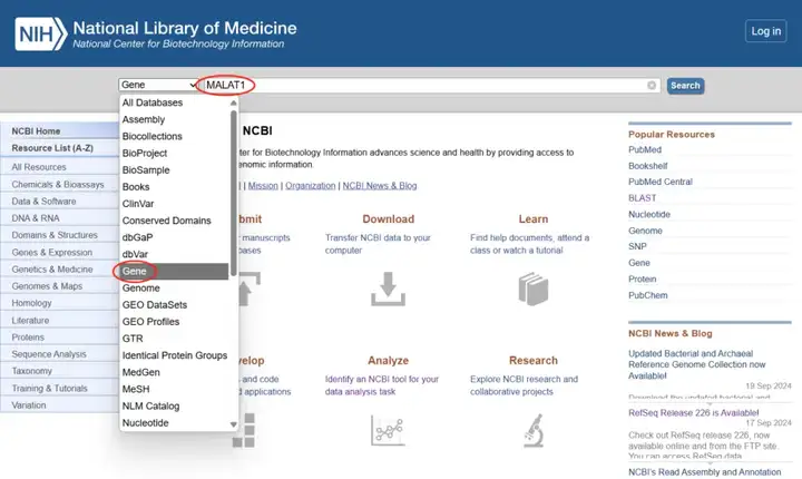 《NCBI保姆级使用教程（包含如何查找CDS、启动子、5'UTR和3'UTR、lncRNA序列）》