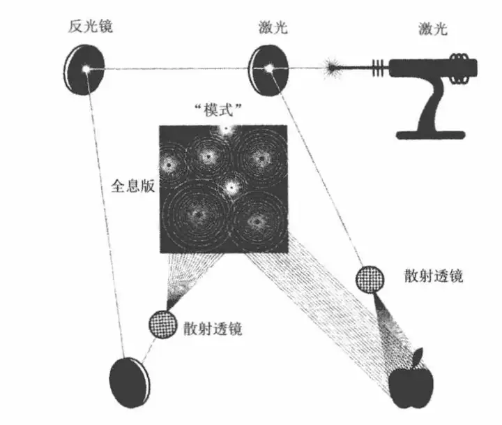 全息人生，你值得过更好的生活-人的解读