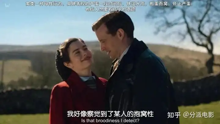 豆瓣9.6,治好我精神内耗的年度剧王《万物生灵第四季》回来了!