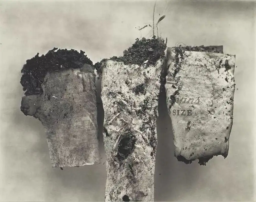 Irving Penn《Cigarette》系列作品赏析- 知乎