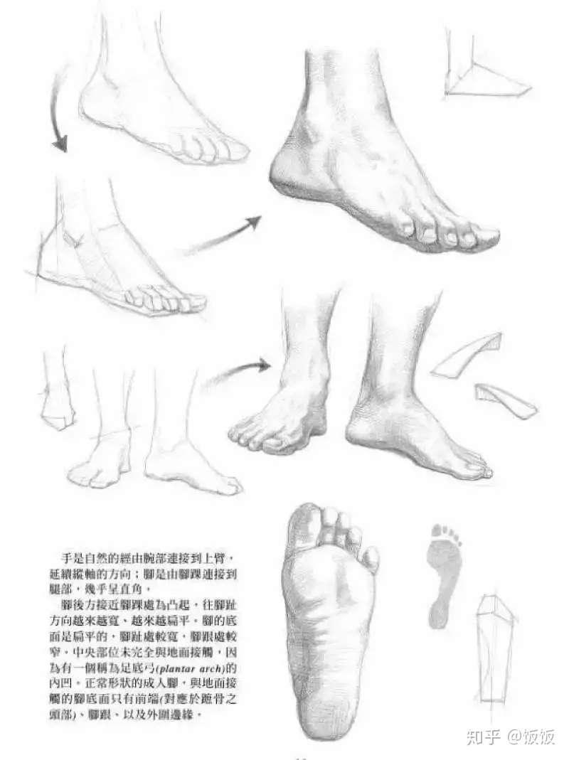 速写鞋子透视找不准怎么办 怎样快速提高速写能力 知乎