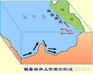 目前看新冠病毒海洋起源的可能性最大