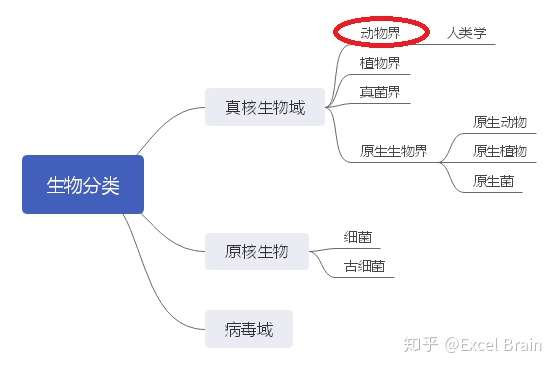 生物分类表 知乎