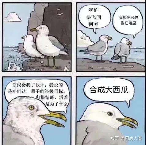 合成大西瓜 里面到底有哪几种水果 知乎