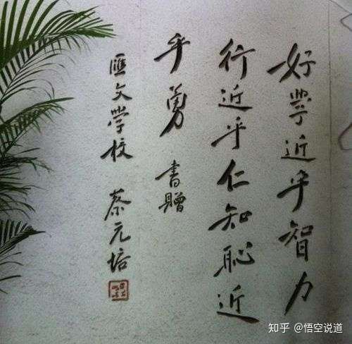 知耻而后勇知弱而图强若不知耻必无耻