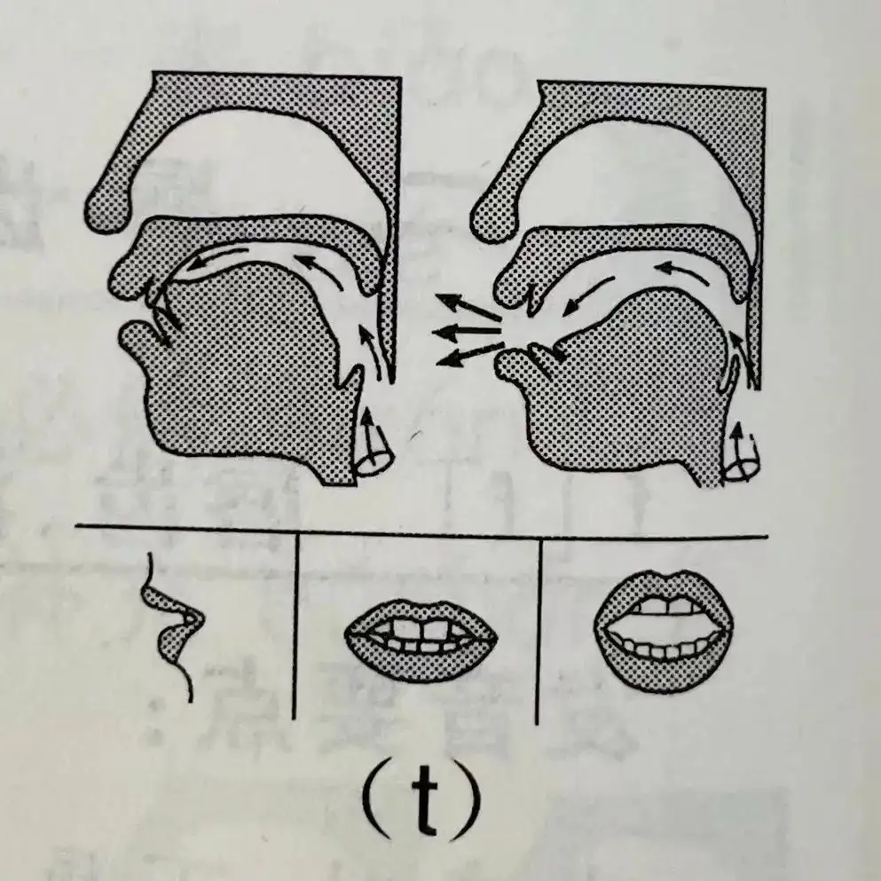 基础发音 D T N L发音及练习 知乎