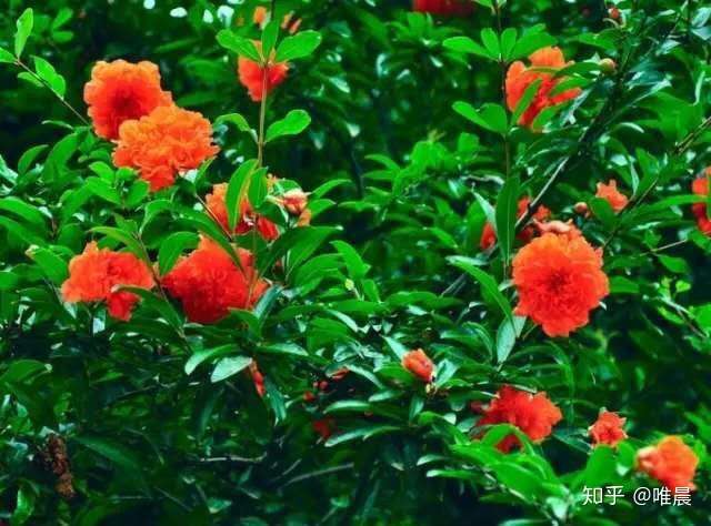 识人术 这四种人最是薄情寡义 遇到后避而远之 知乎