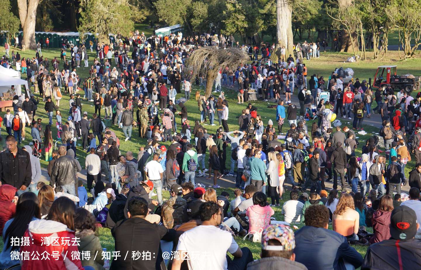 旧金山的天是大麻的天 旧金山的人民好喜欢 知乎