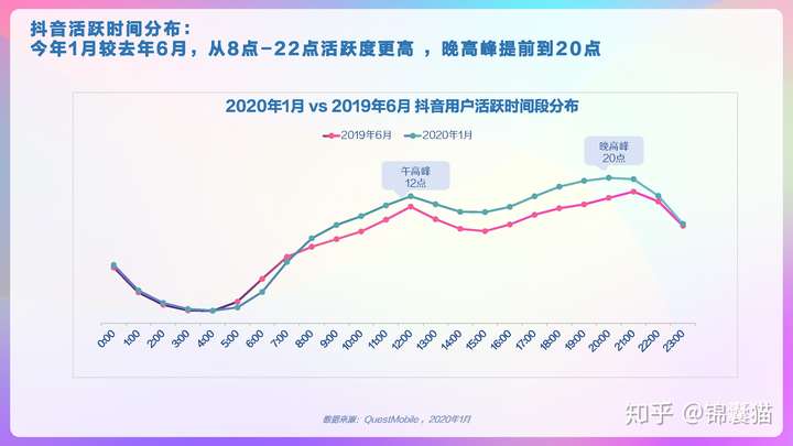 2020抖音用户画像分析