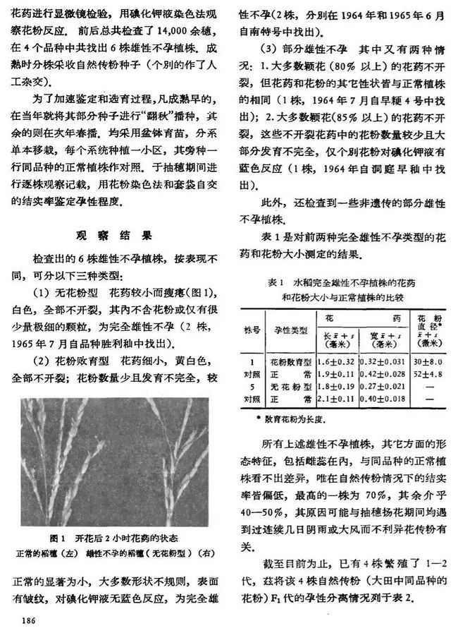 麻省理工科技评论 55年前袁隆平首篇4页的论文 却让几亿人吃饱饭 改写了水稻的历史 深度解析 麻省理工科技评论 55年前袁隆平首篇4页的论文 却让几亿人吃饱饭 改写了水稻的历史 深度解析