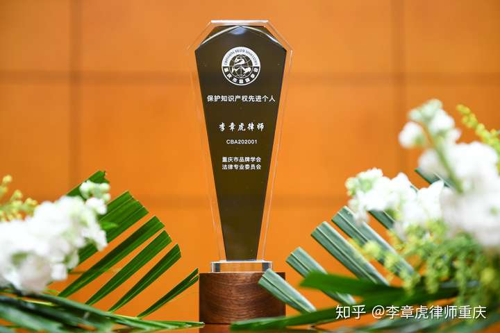 李章虎律师获评重庆市品牌学会保护知识产权先进个人荣誉