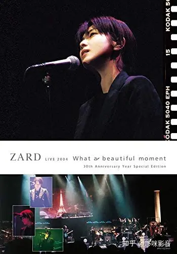 超歓迎された ZARD坂井泉水 DVD2枚組「What a beautiful moment
