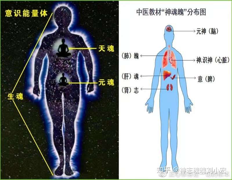 正确理解什么是神志病 什么是中医 知乎