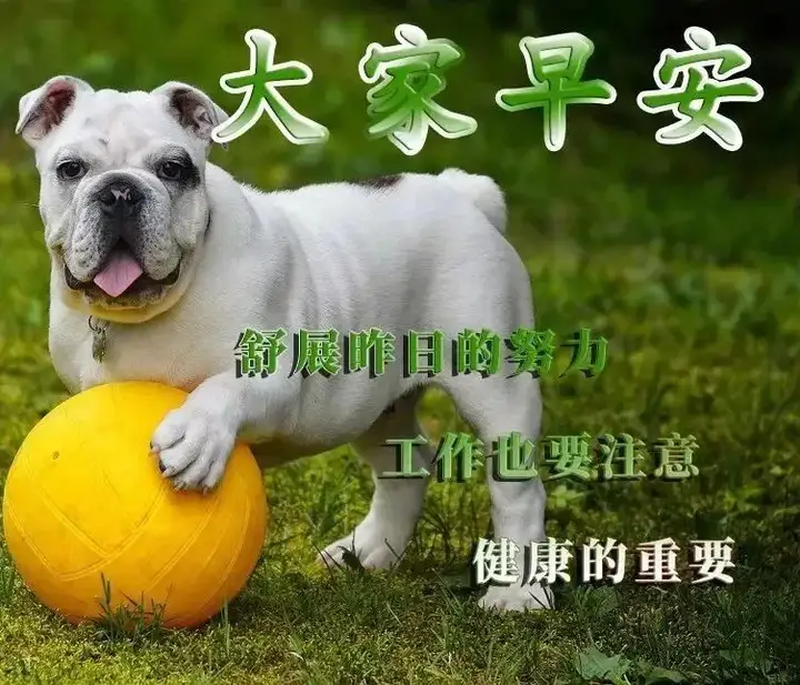 8月22日最新版大家早上好表情图片大全，清晨大家早上好问候祝福语动画表情