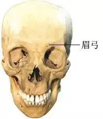 a1:眉弓(méi ɡōnɡ)又称为眉骨,是一个解剖名词,位于眶上缘上方