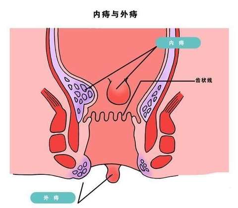 知乎