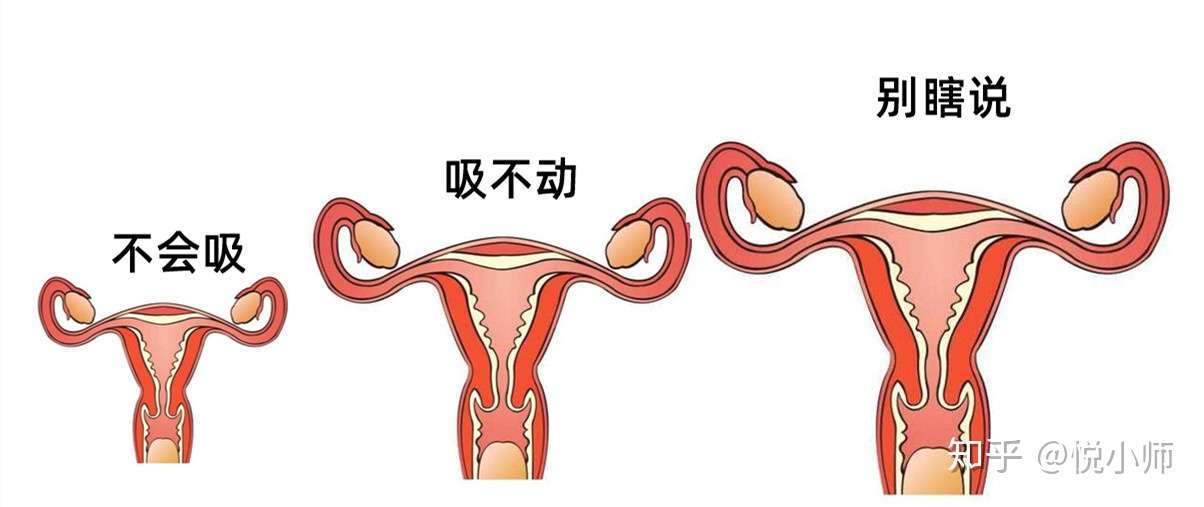 女生高潮更容易怀孕 请放过高潮吧 知乎