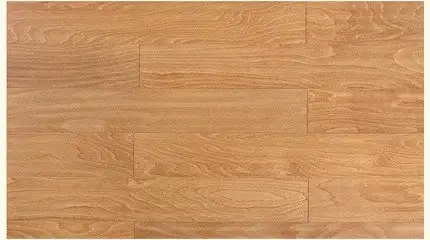 info-430-240 info-430-240