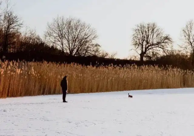 〔俄国〕屠格涅夫《麻雀》抒情散文鉴赏