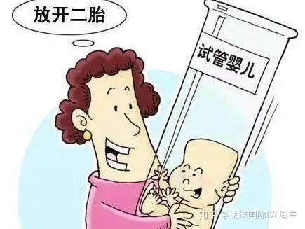国外试管婴儿（什么是试管婴儿？）
