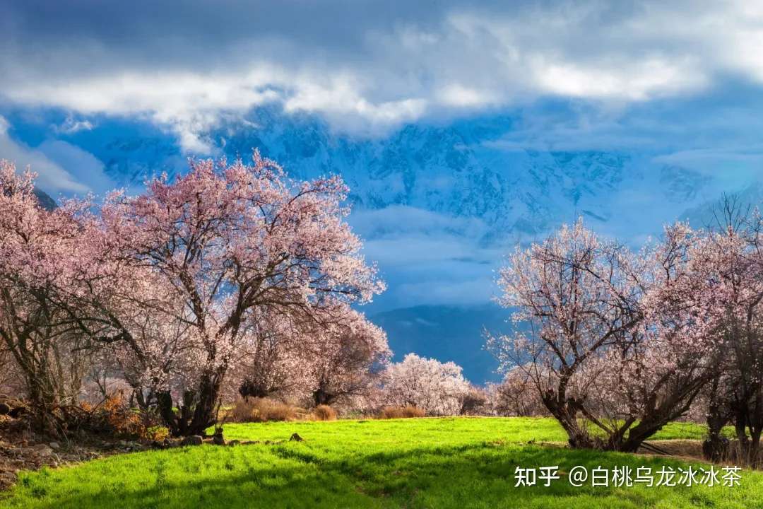 等到春暖花开 与你共赴西藏春光 知乎