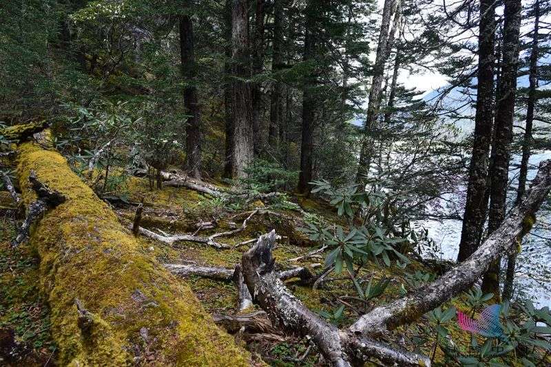 在中国南海 发现了一具尸体 背后藏着一个大秘密 知乎