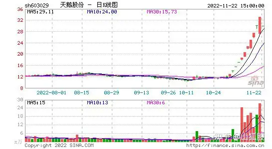 天鹅股份(603029)要点解析20221123（天鹅股票603029）