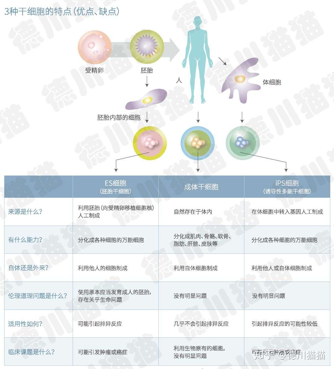 日本再生医疗 抗衰防老界的最强王者 知乎