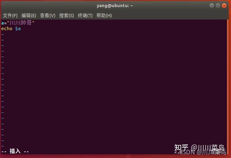 万字最全LinuxShell详细教程！
