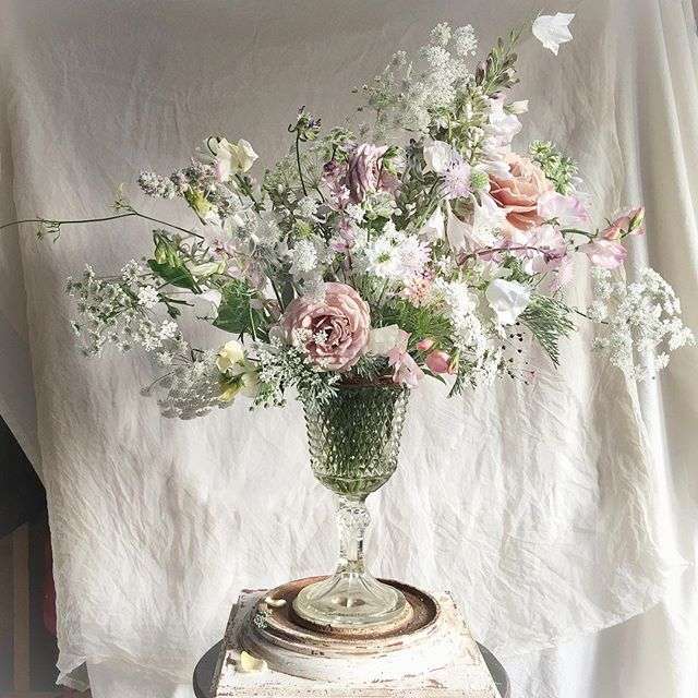 又到秋播季节 高颜值秋播花卉品种推荐 知乎