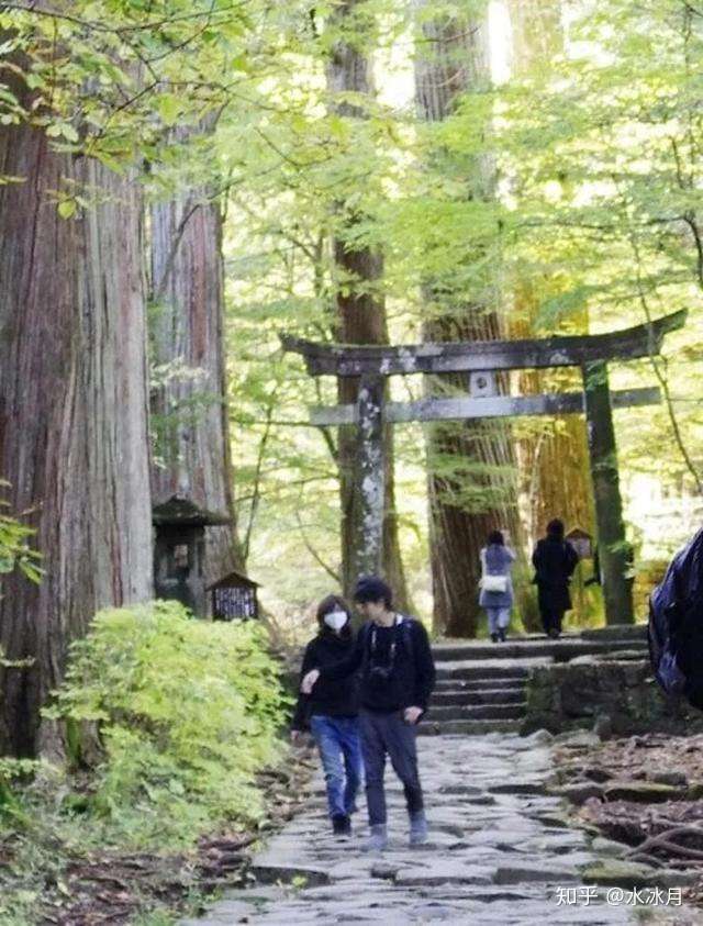 江直树跟杉菜在一起了 百合剧女王 岁撩妹 40岁撩汉 知乎