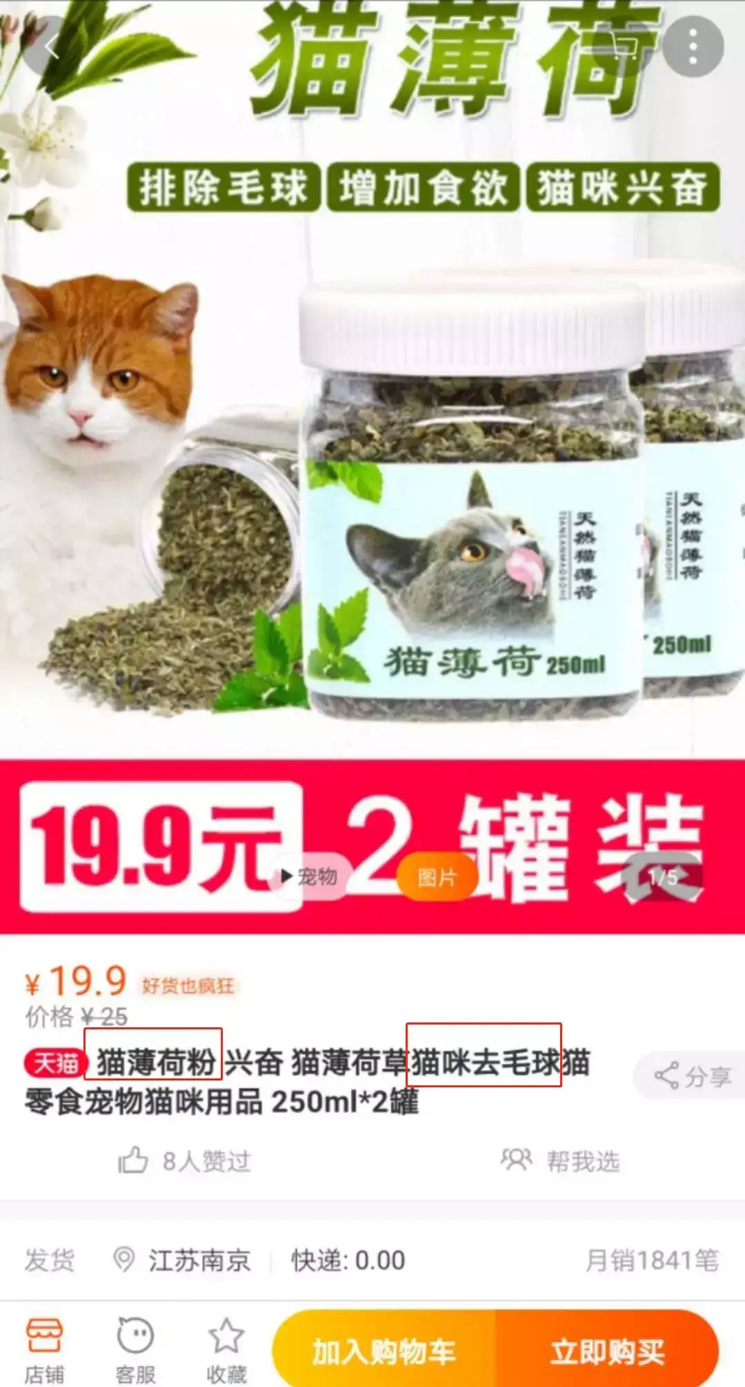 猫薄荷vs猫草 傻傻分不清楚 知乎