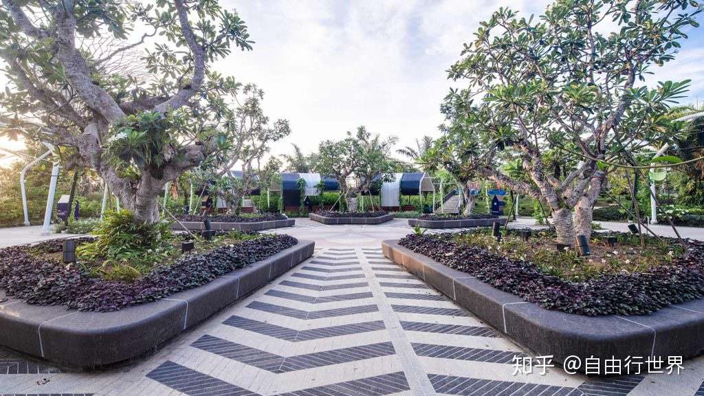 来自未来的花园 滨海湾花园 知乎