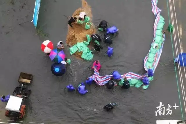 惠州日雨量破历史记录！连续暴雨致广东多地内涝，小心这些灾害！